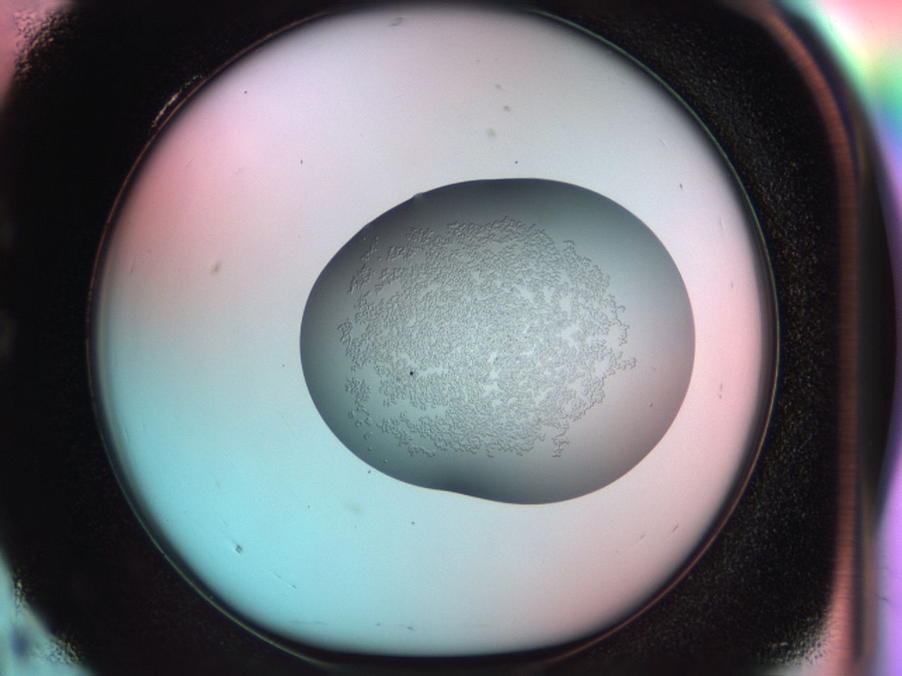 039t_C4_ImagerDefaults_6.jpg