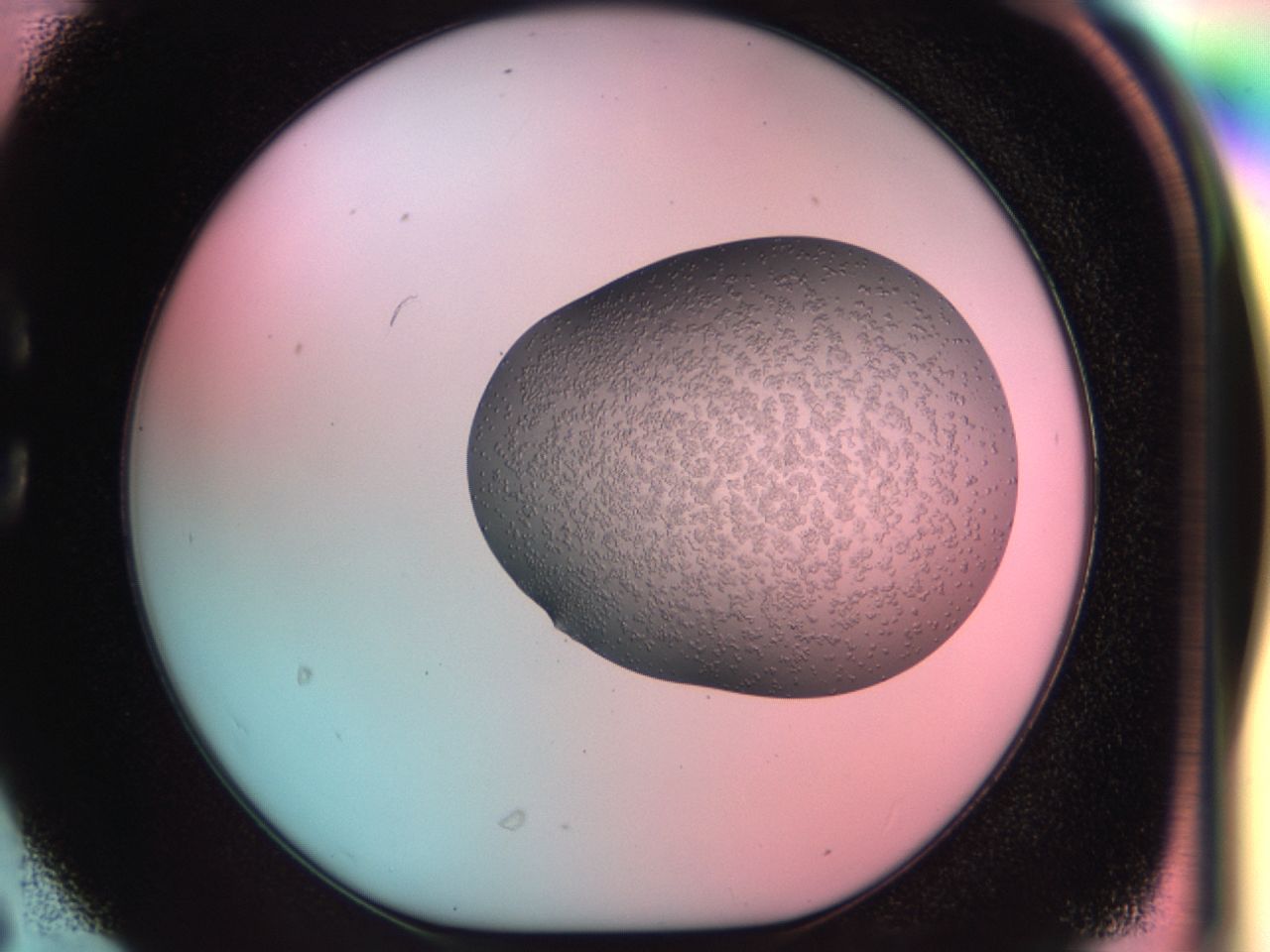 039t_C6_ImagerDefaults_6.jpg