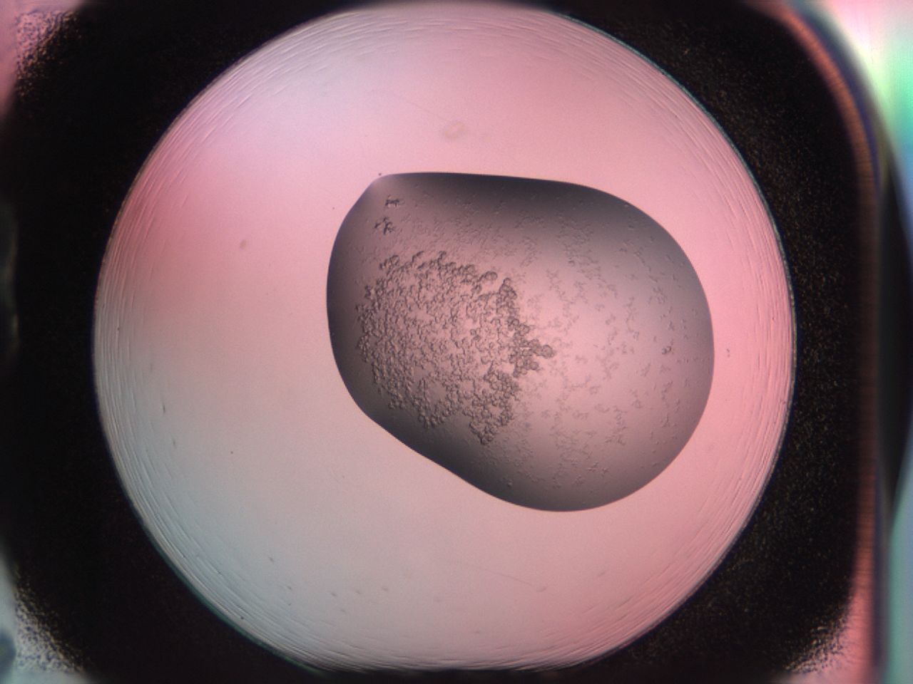 039t_B7_ImagerDefaults_6.jpg