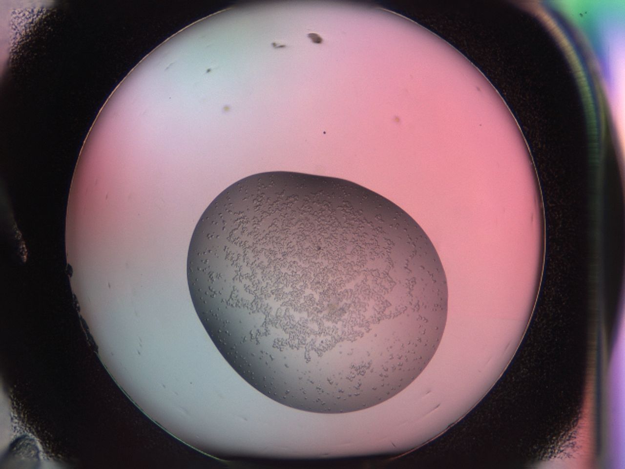 039u_A11_ImagerDefaults_6.jpg