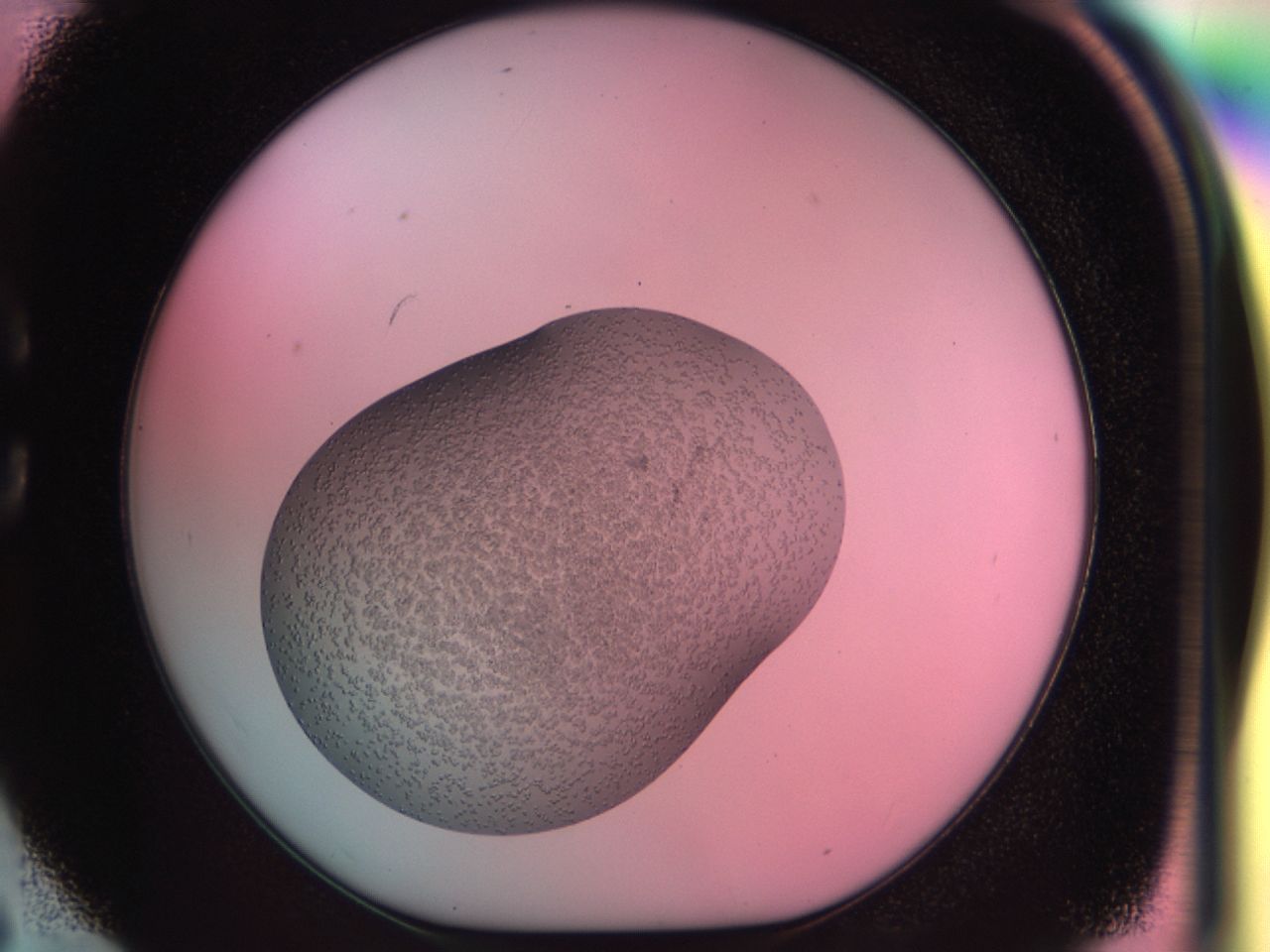 039u_C6_ImagerDefaults_6.jpg