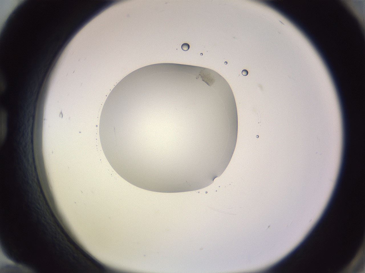 folderID421_plateID1421_batchID5196_wellNum84_profileID1_d1_r87365_ef.jpg