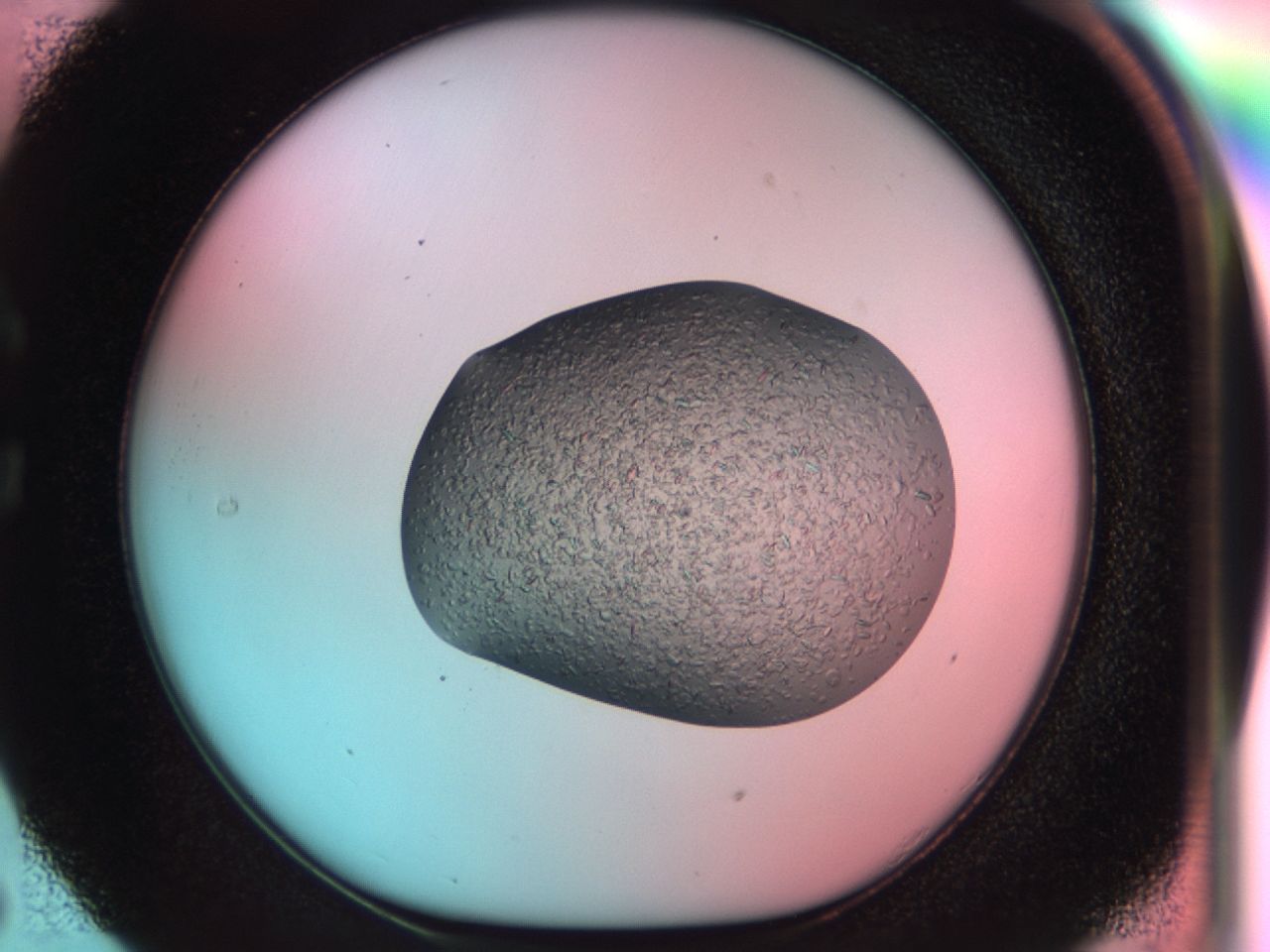 03aj_C5_ImagerDefaults_7.jpg