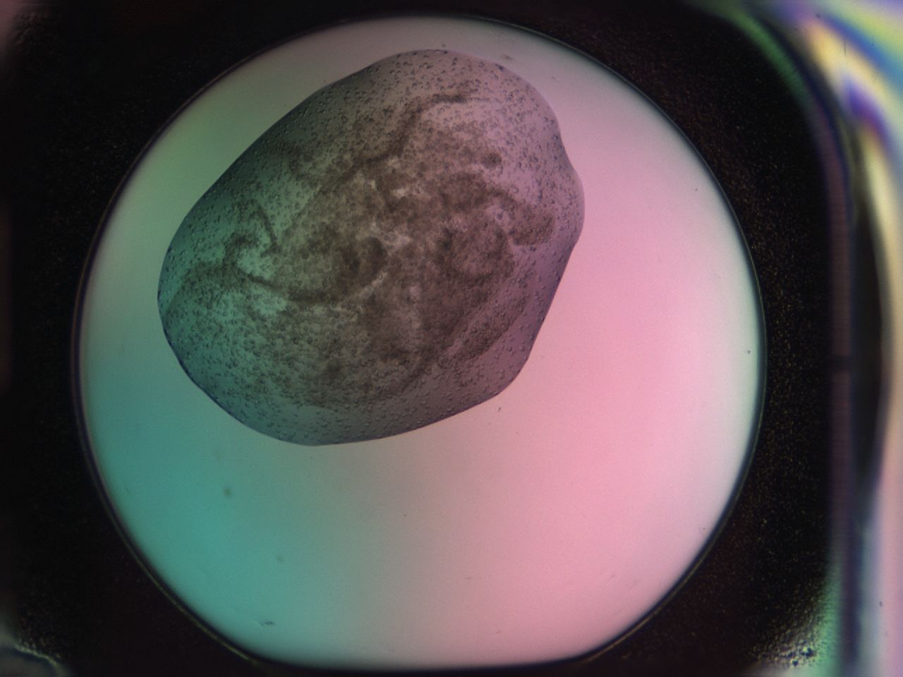 03aj_H10_ImagerDefaults_8.jpg