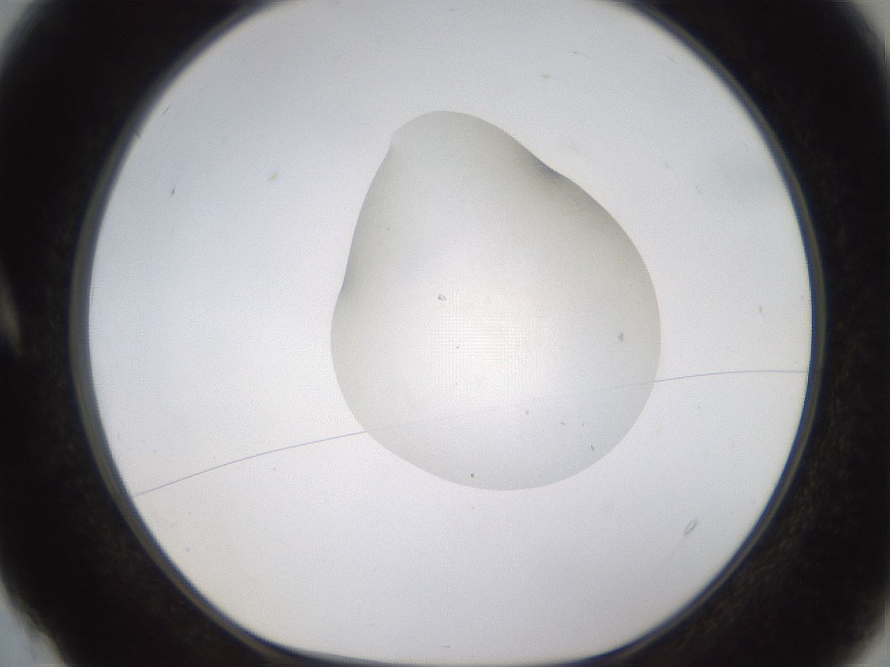 folderID422_plateID1422_batchID5193_wellNum4_profileID1_d1_r87381_ef.jpg