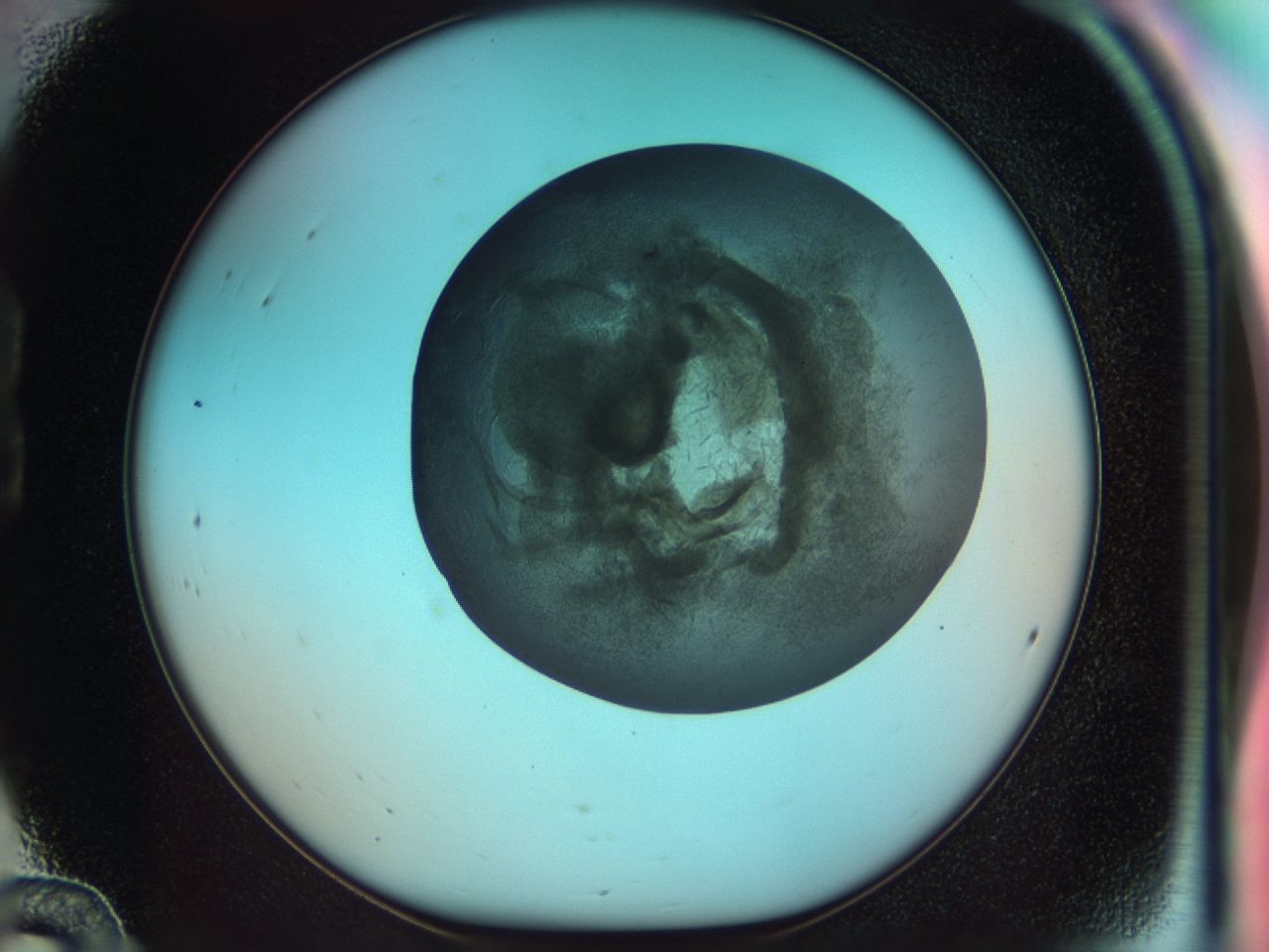 03ak_B12_ImagerDefaults_7.jpg