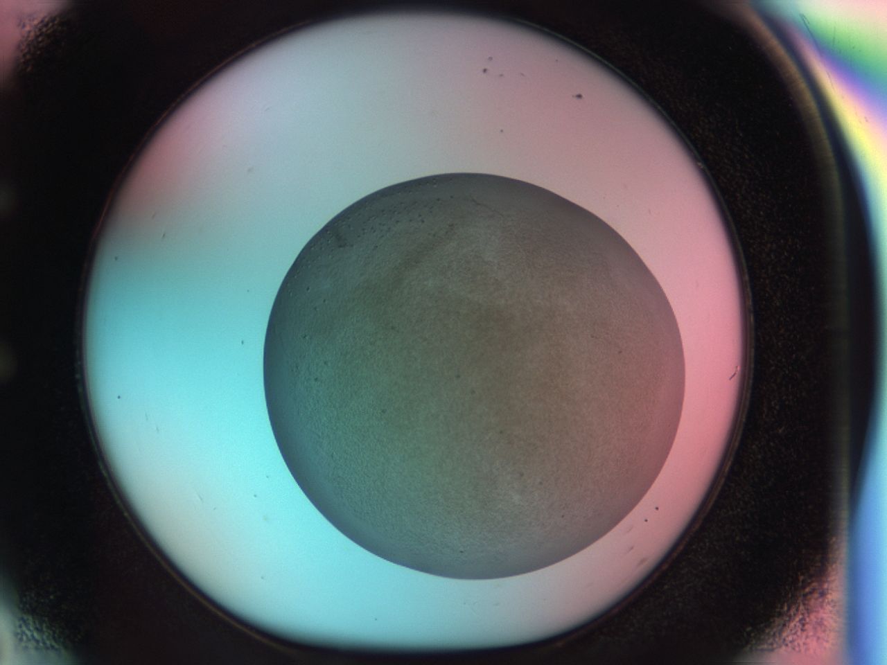 03al_E6_ImagerDefaults_6.jpg