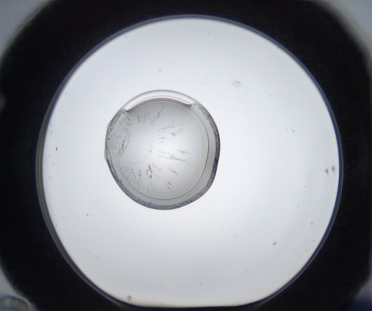 folderID422_plateID2422_batchID11663_wellNum70_profileID1_d1_r179978_ef.jpg