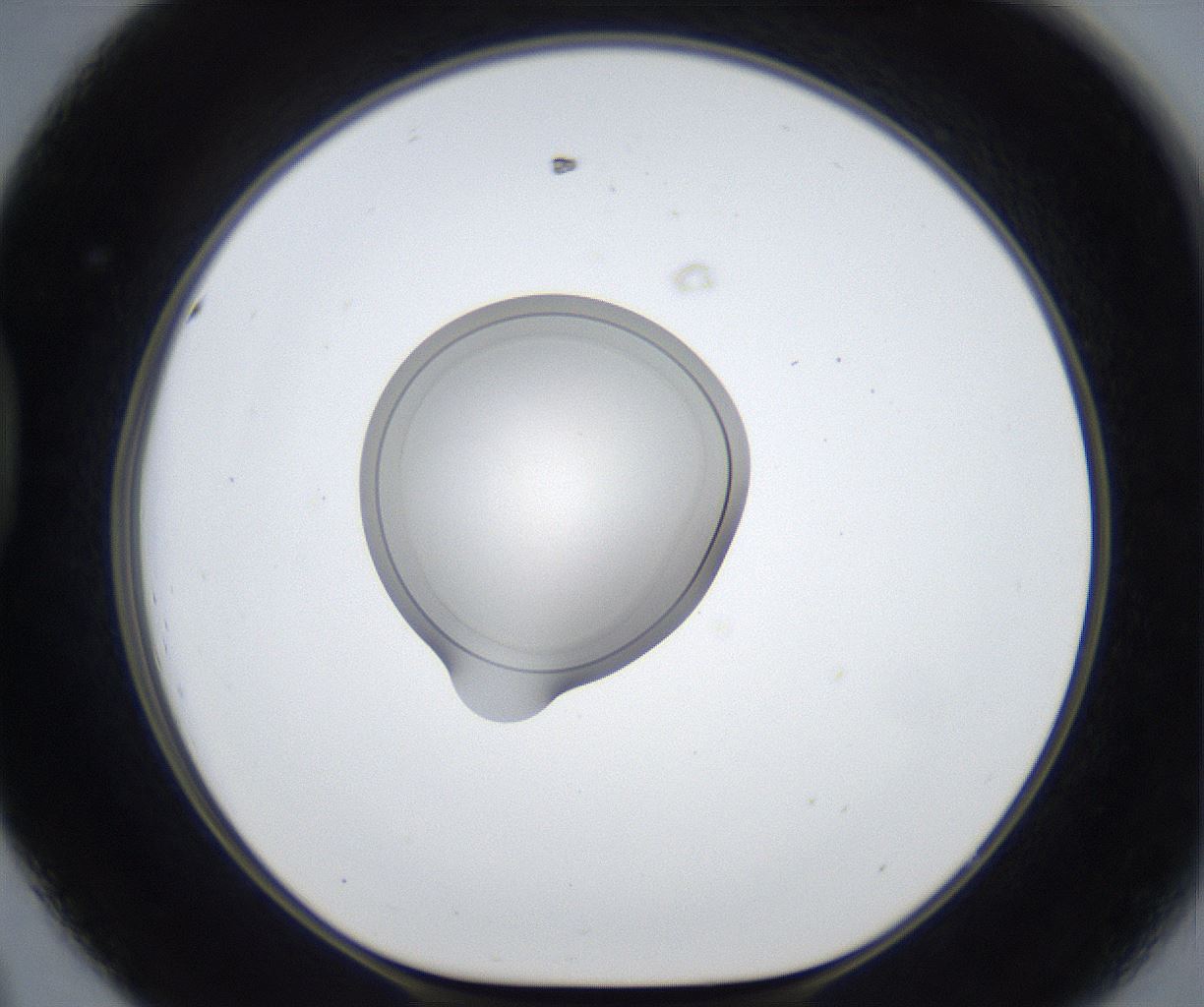 folderID423_plateID2423_batchID11617_wellNum44_profileID1_d1_r180118_ef.jpg