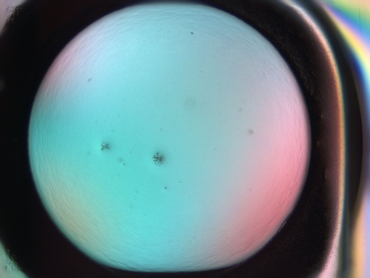 03b0_F5_ImagerDefaults_7.jpg