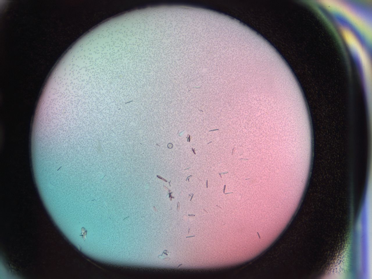 03b0_G9_ImagerDefaults_7.jpg
