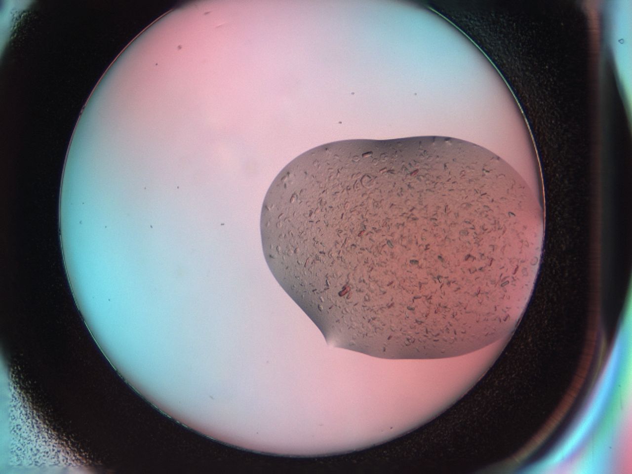 03b7_D2_ImagerDefaults_6.jpg