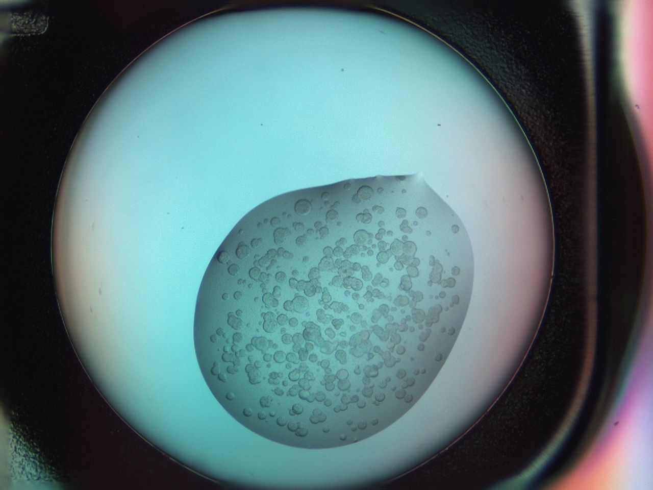 03b7_D12_ImagerDefaults_6.jpg