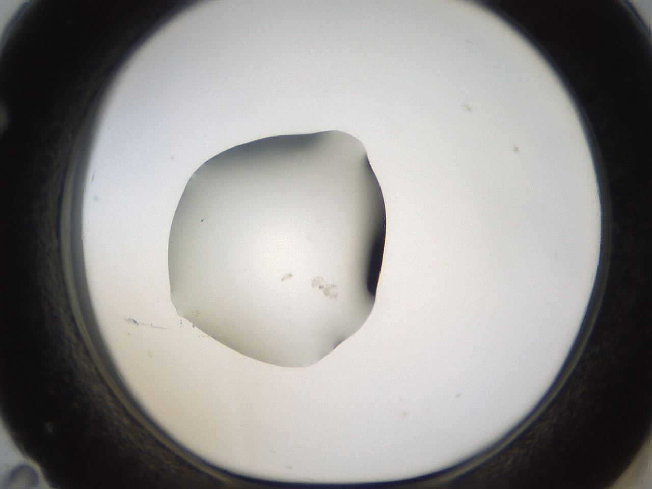 folderID424_plateID1424_batchID5190_wellNum71_profileID1_d1_r87160_ef.jpg