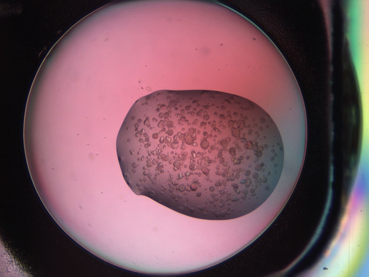 03b7_H12_ImagerDefaults_7.jpg