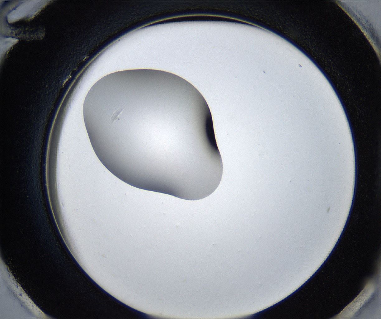 folderID424_plateID2424_batchID11665_wellNum96_profileID1_d2_r180415_ef.jpg