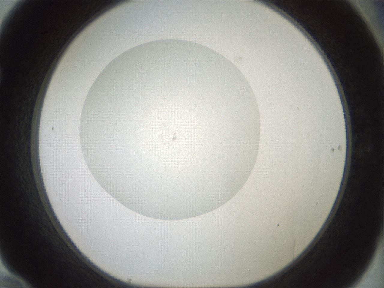 folderID426_plateID1426_batchID5433_wellNum70_profileID1_d1_r88291_ef.jpg