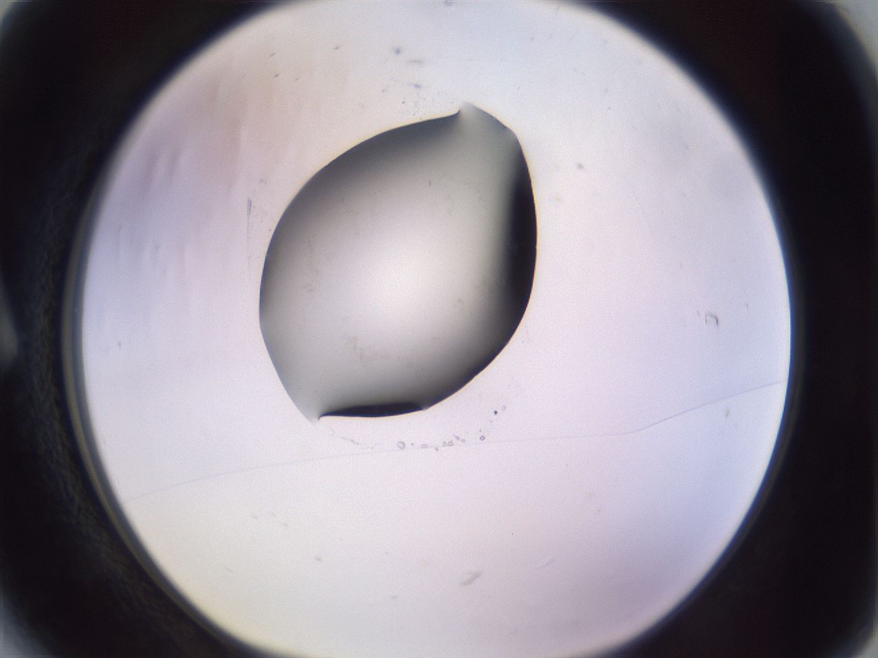folderID425_plateID1425_batchID5199_wellNum6_profileID1_d1_r87671_ef.jpg