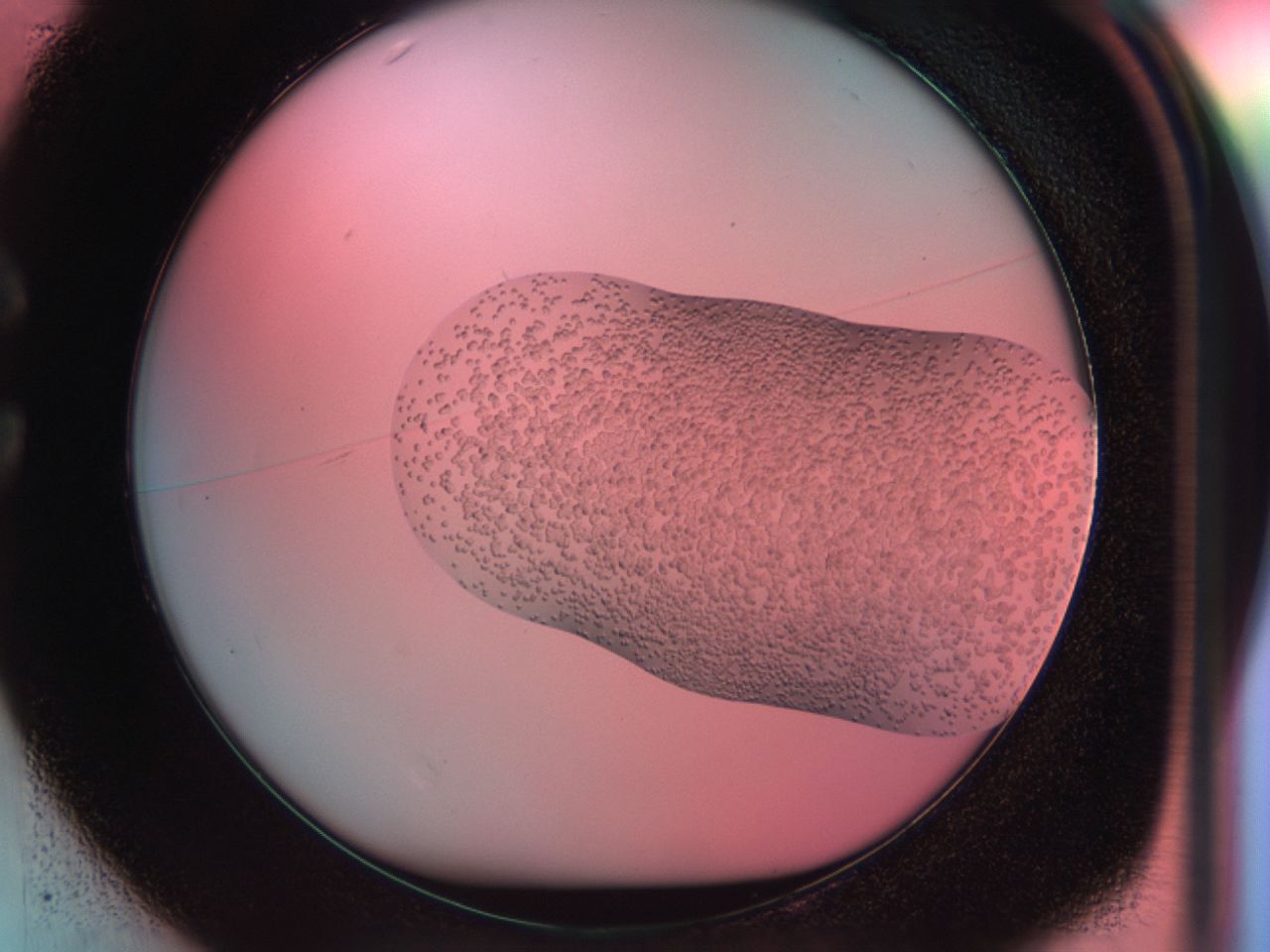 03b7_C1_ImagerDefaults_6.jpg