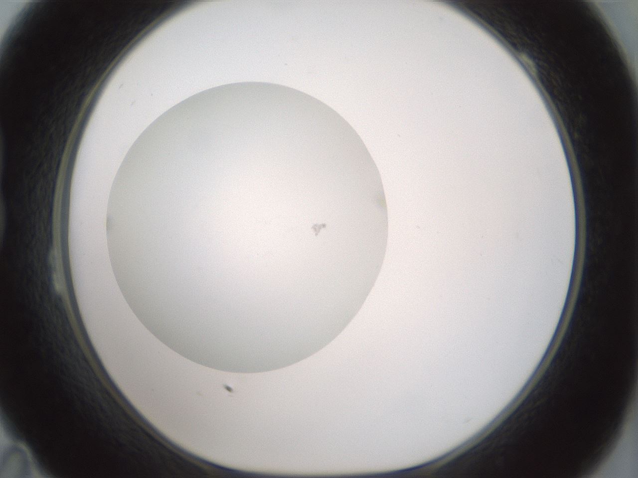 folderID426_plateID1426_batchID5433_wellNum23_profileID1_d1_r88197_ef.jpg