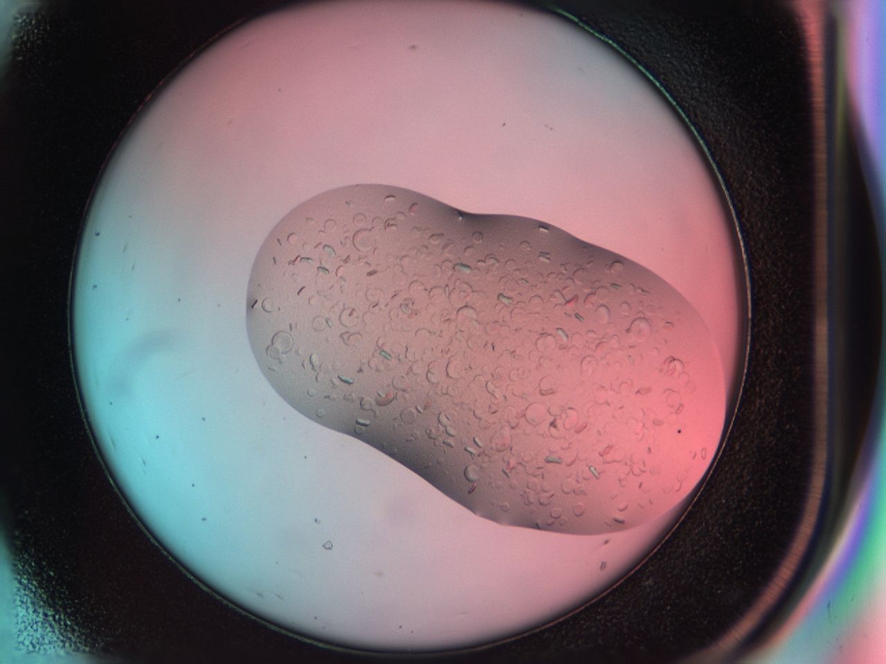 03b7_D8_ImagerDefaults_6.jpg
