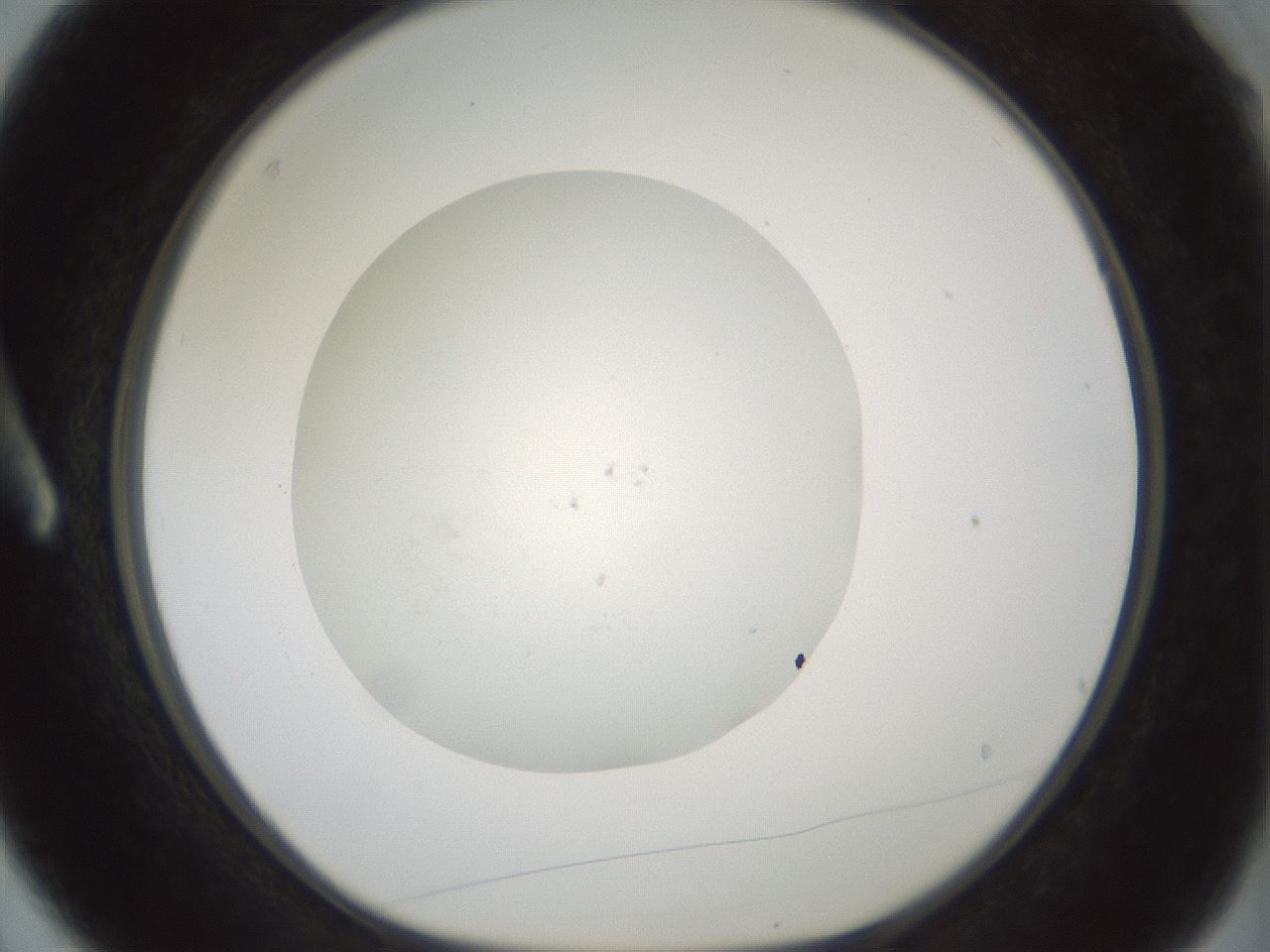 folderID426_plateID1426_batchID5433_wellNum3_profileID1_d1_r88157_ef.jpg