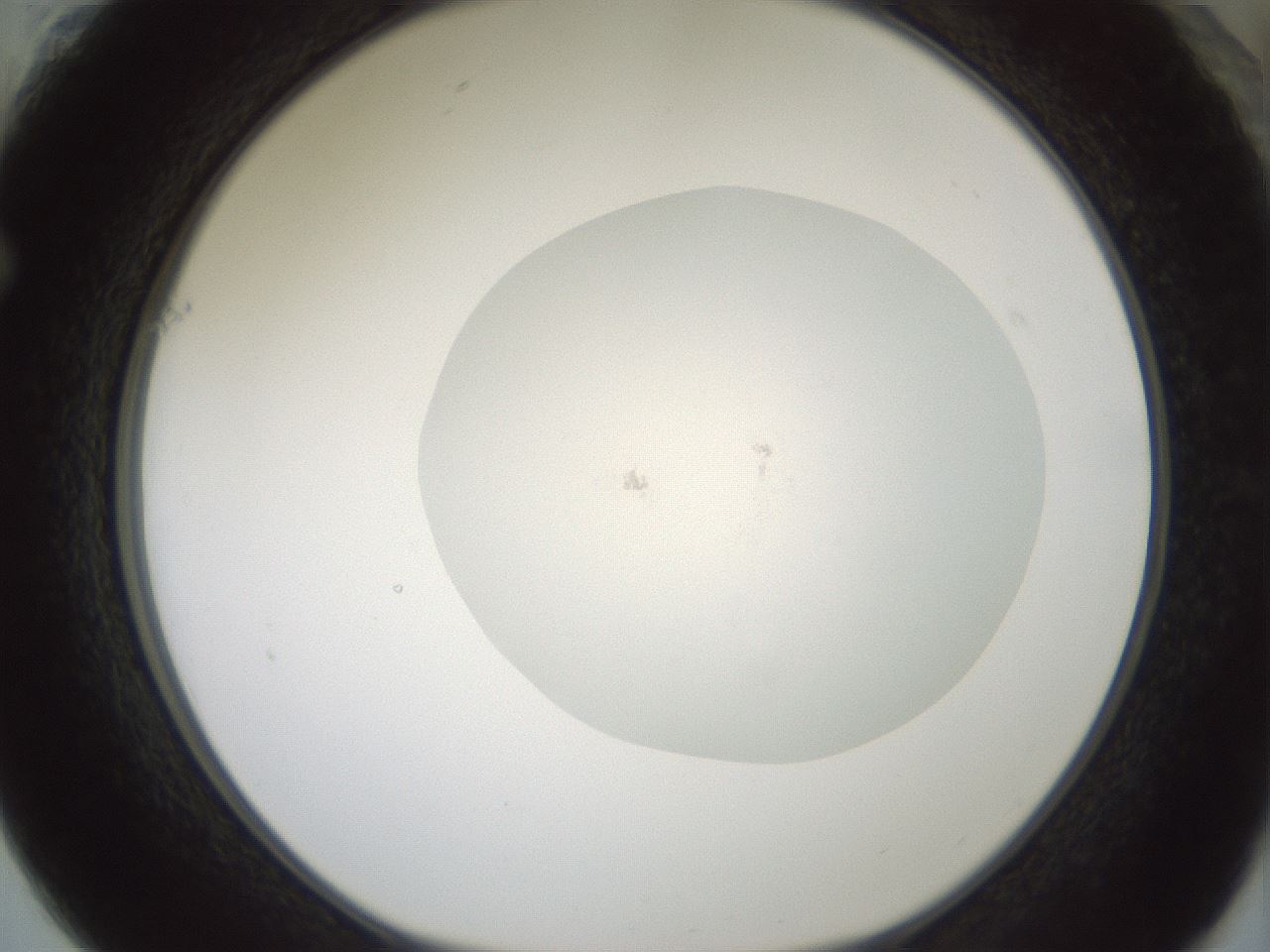 folderID426_plateID1426_batchID5433_wellNum61_profileID1_d1_r88273_ef.jpg