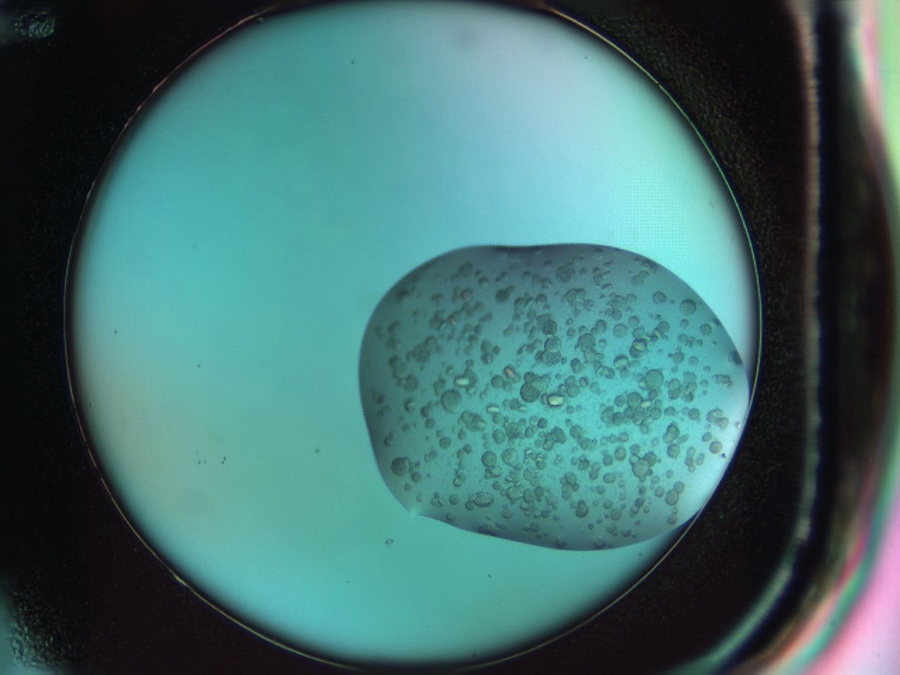 03b7_F12_ImagerDefaults_8.jpg