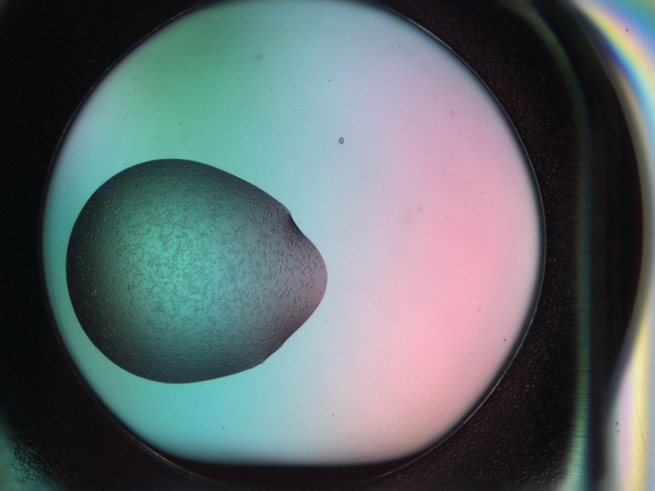 03b7_H5_ImagerDefaults_6.jpg