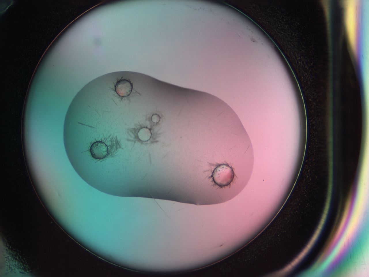 03b7_G10_ImagerDefaults_7.jpg