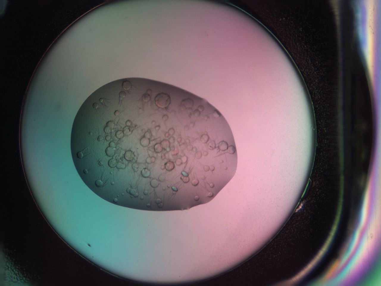 03b7_G11_ImagerDefaults_7.jpg