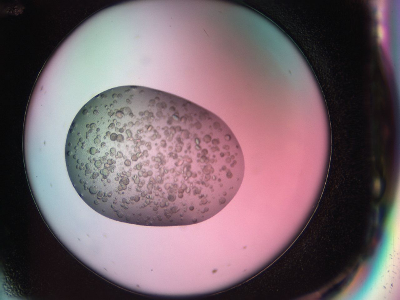 03b7_G12_ImagerDefaults_6.jpg