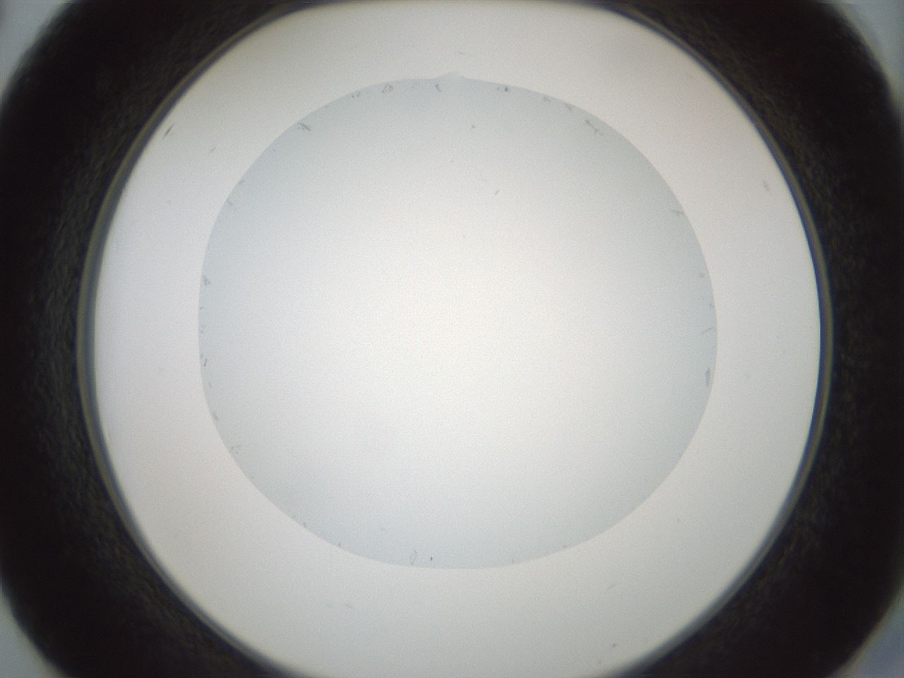 folderID428_plateID1428_batchID5438_wellNum50_profileID1_d2_r89980_ef.jpg