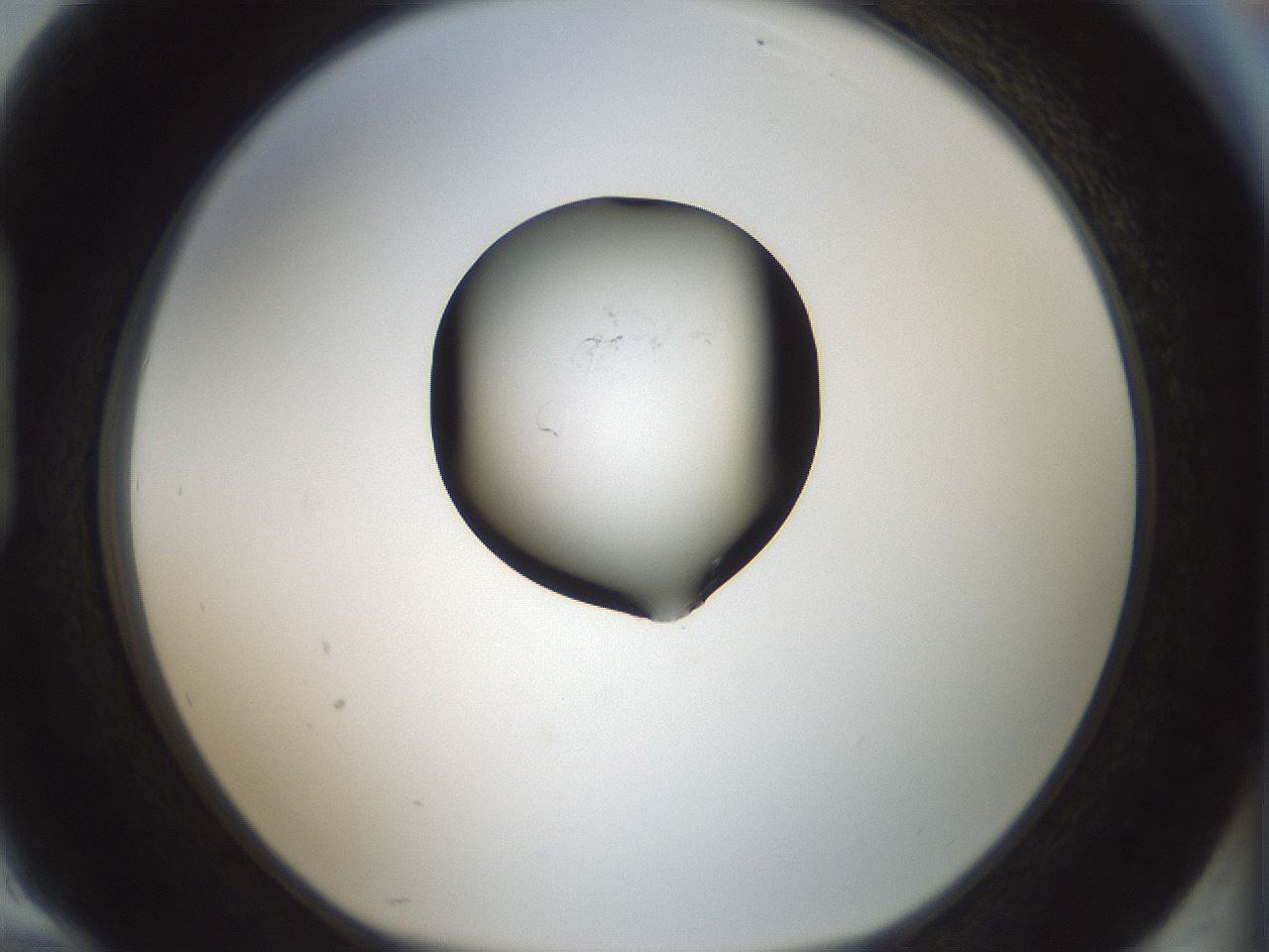 folderID429_plateID1429_batchID5435_wellNum94_profileID1_d1_r89299_ef.jpg
