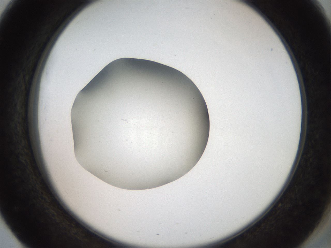 folderID42_plateID2042_batchID9007_wellNum51_profileID1_d2_r137852_ef.jpg