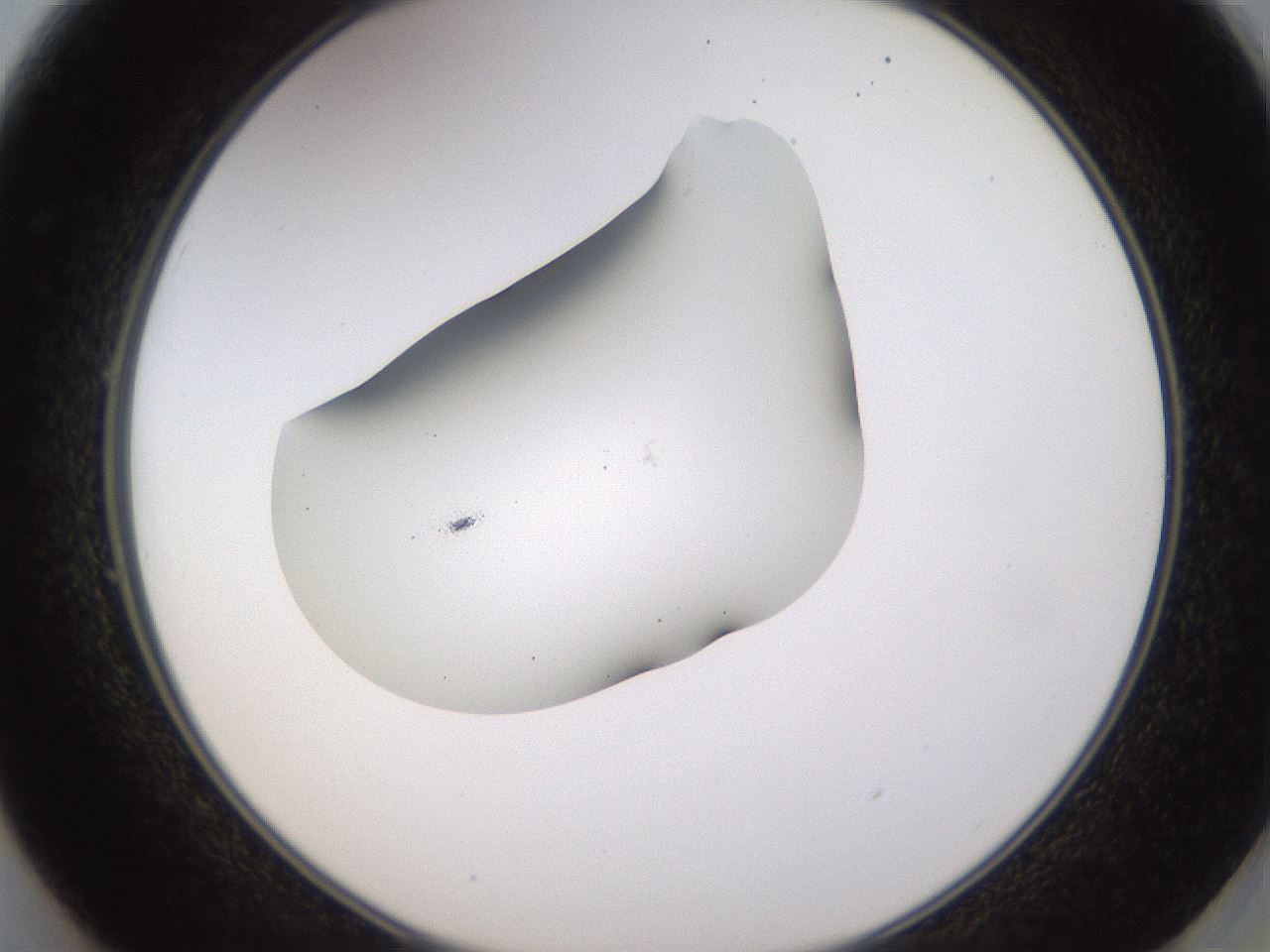 folderID436_plateID1436_batchID5442_wellNum49_profileID1_d2_r89018_ef.jpg