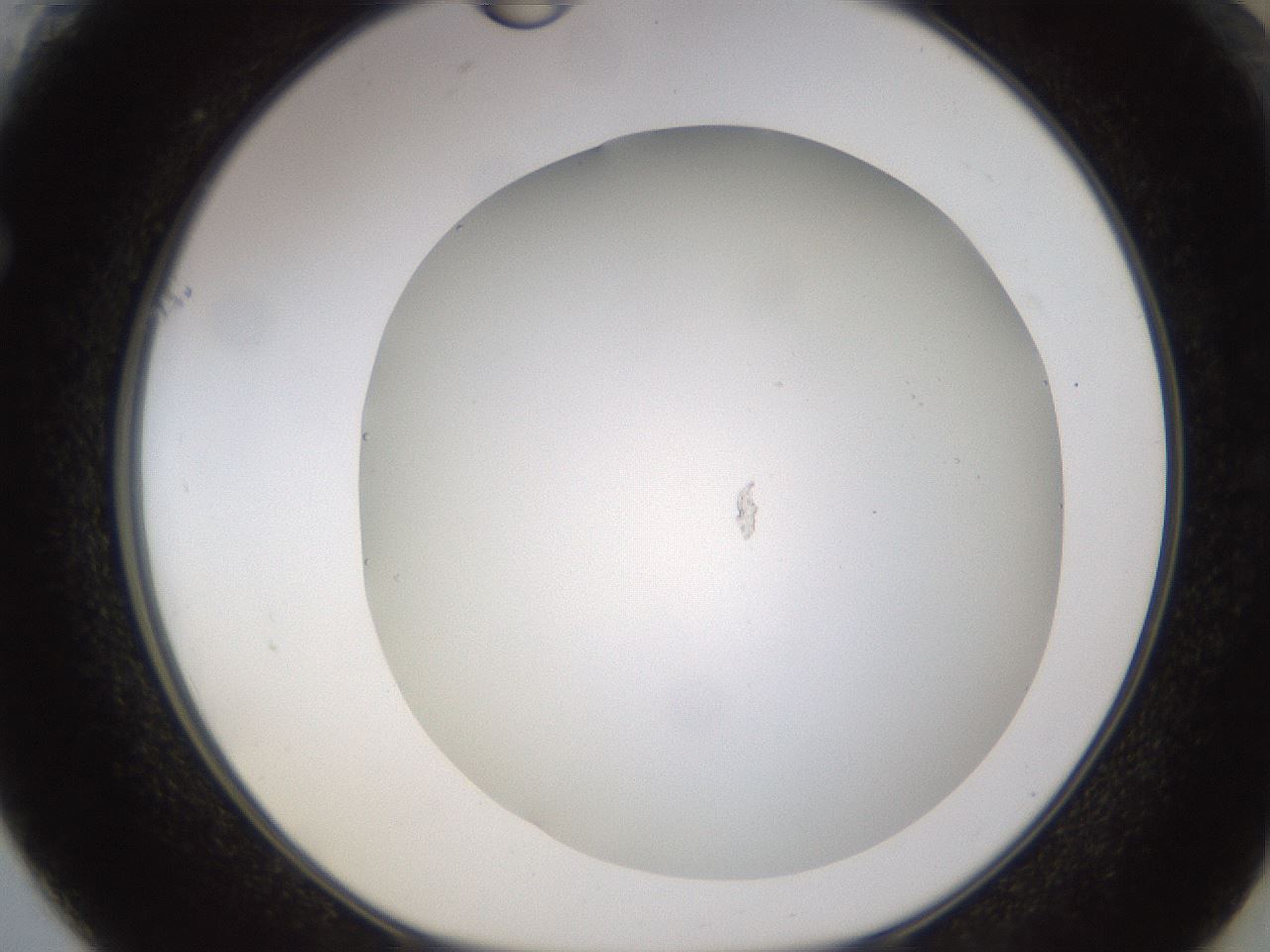 folderID437_plateID1437_batchID5444_wellNum61_profileID1_d1_r89809_ef.jpg