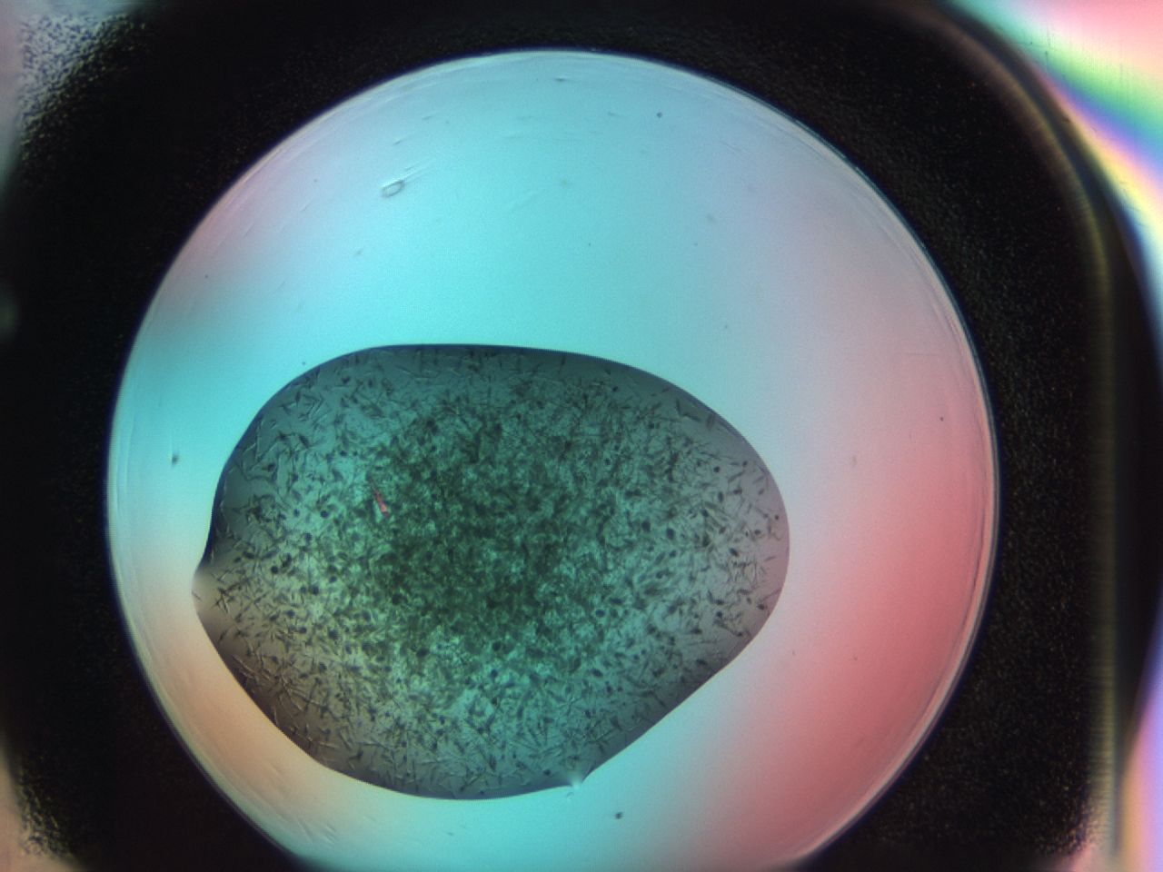 03bl_F6_ImagerDefaults_6.jpg