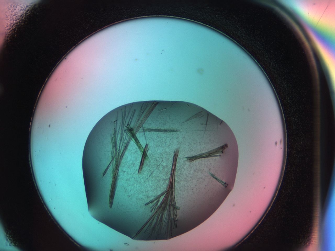 03bl_F10_ImagerDefaults_8.jpg