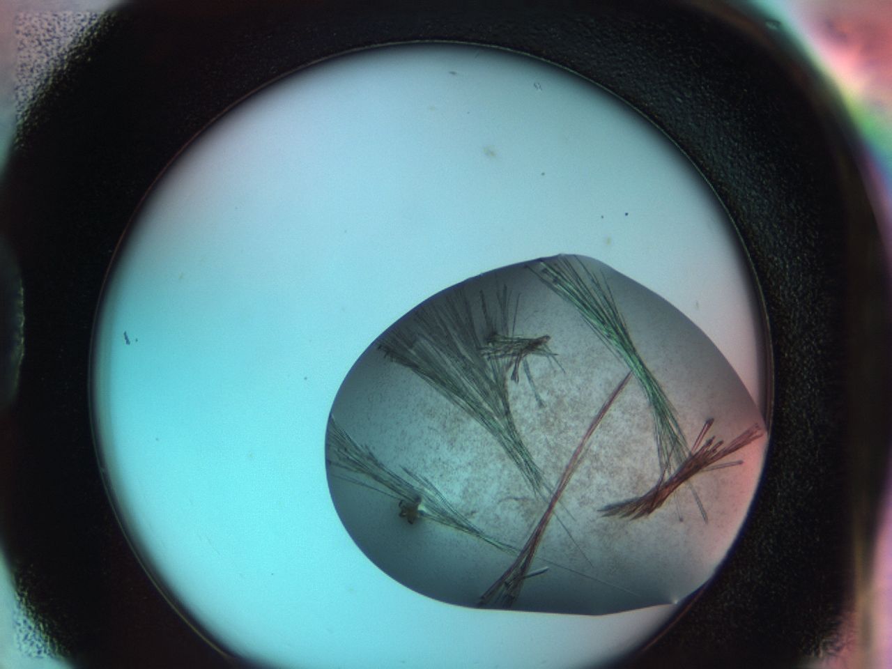 03bl_D6_ImagerDefaults_7.jpg
