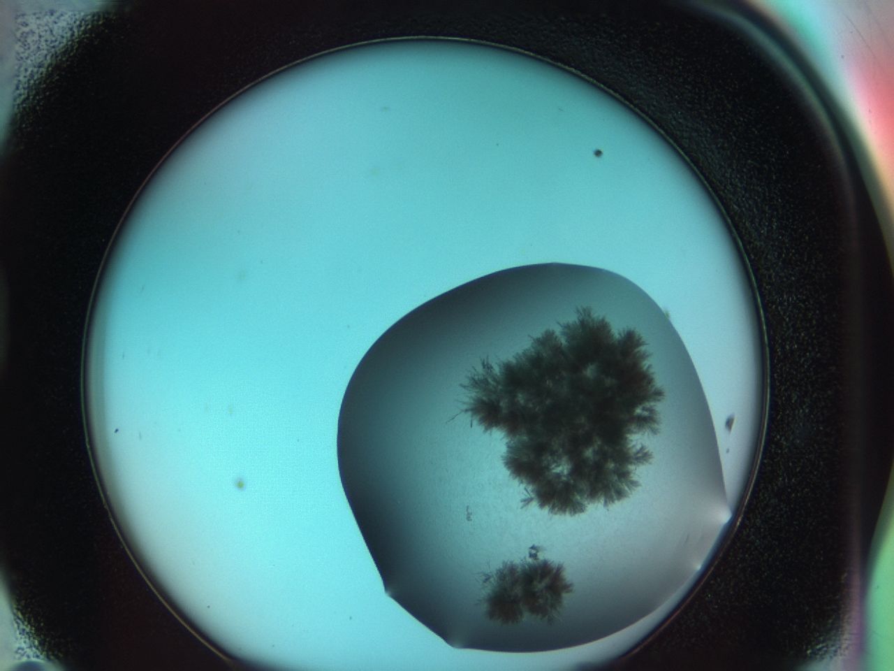 03bl_D11_ImagerDefaults_6.jpg