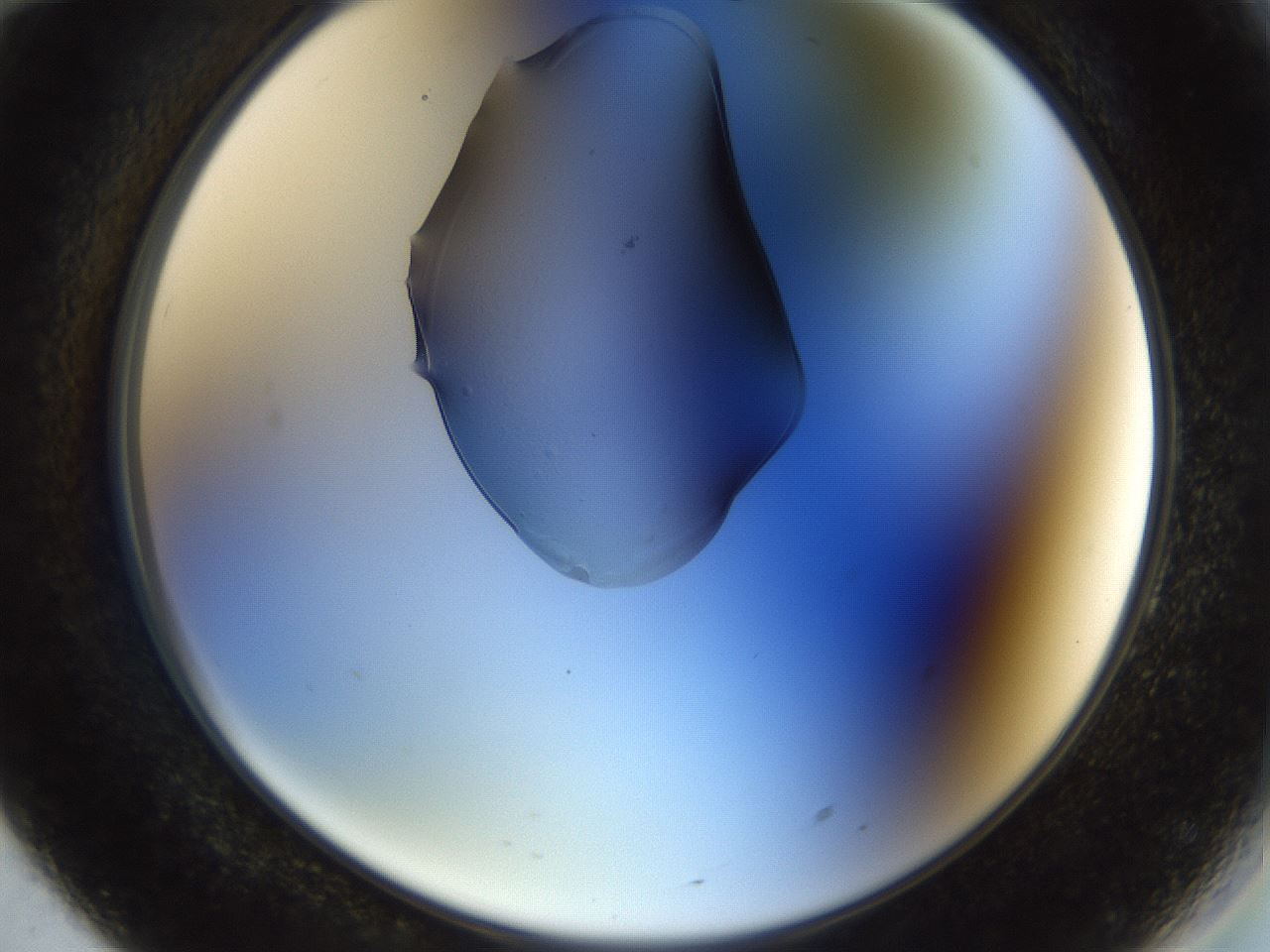 folderID442_plateID1442_batchID5497_wellNum70_profileID1_d2_r90887_ef.jpg