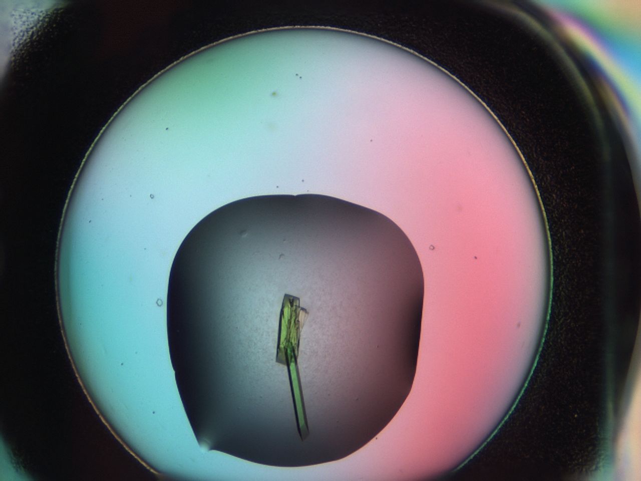 03bl_G7_ImagerDefaults_9.jpg