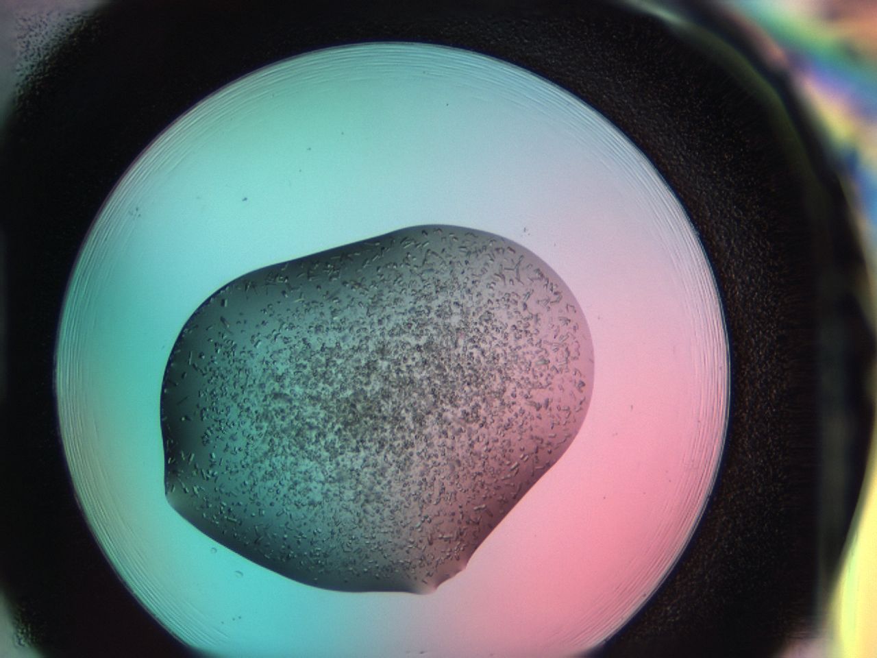 03bl_H1_ImagerDefaults_6.jpg