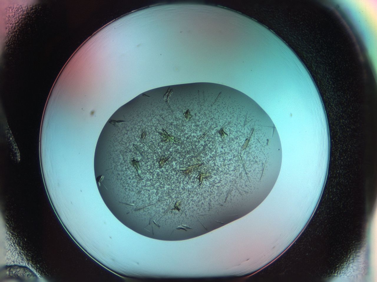 03bm_A12_ImagerDefaults_6.jpg