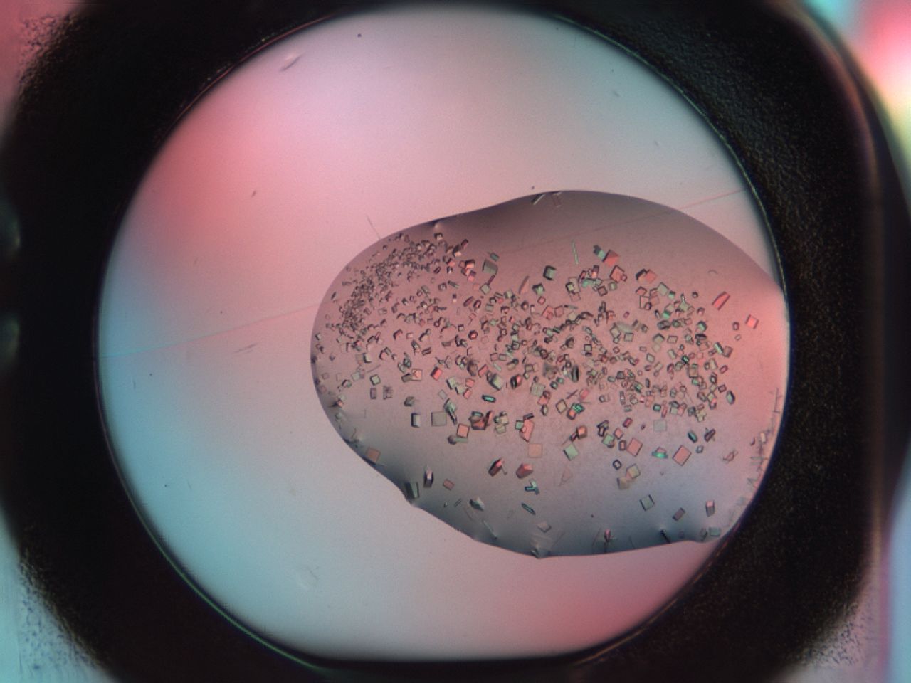 03bm_C1_ImagerDefaults_9.jpg