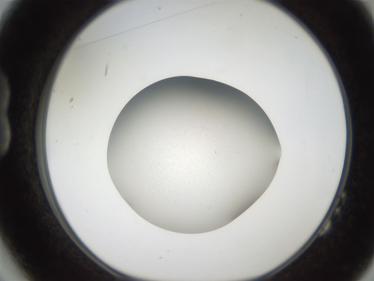 folderID185_plateID2185_batchID9951_wellNum14_profileID1_d1_r147844_ef.jpg