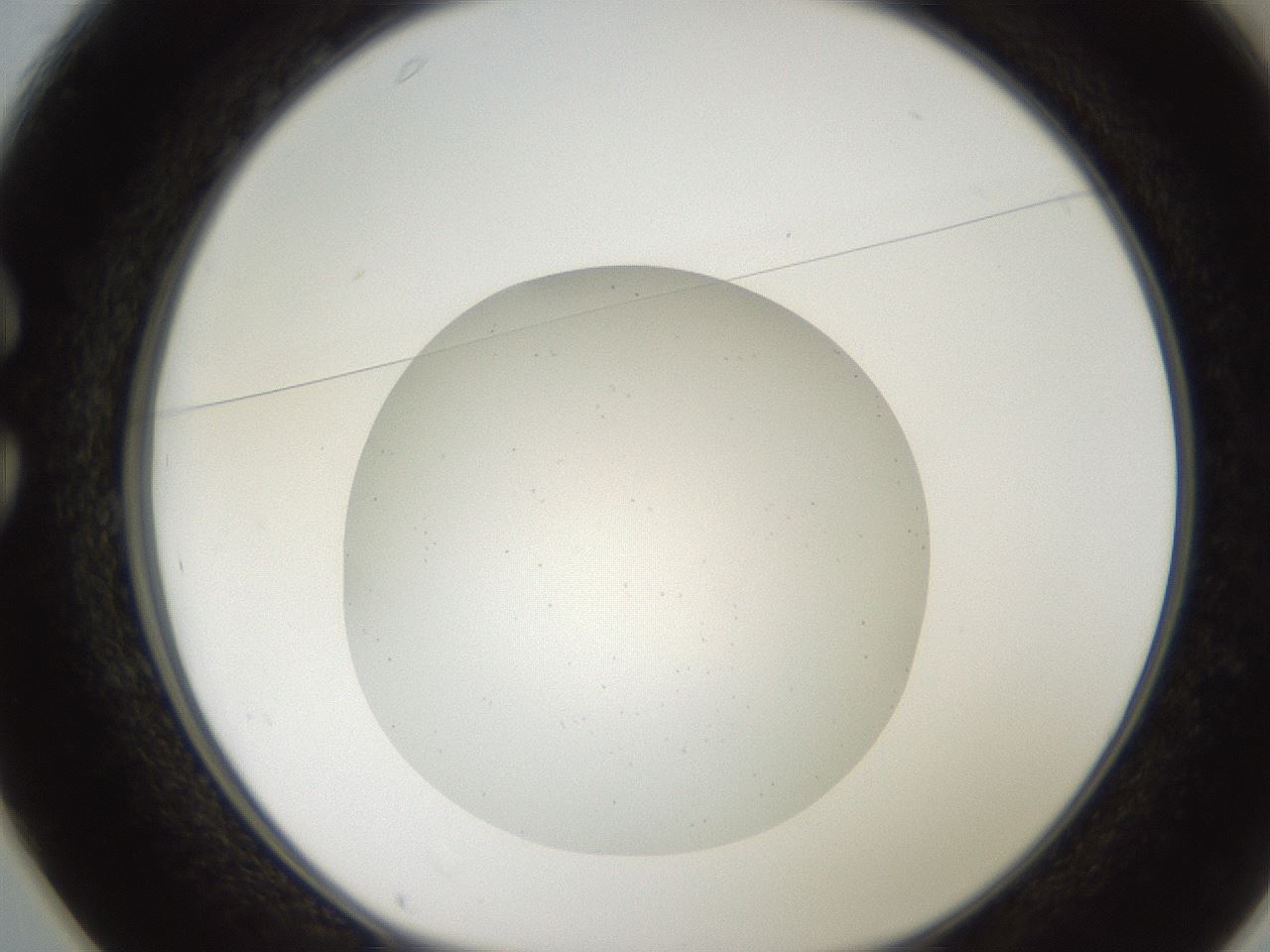folderID186_plateID2186_batchID9957_wellNum25_profileID1_d1_r148431_ef.jpg
