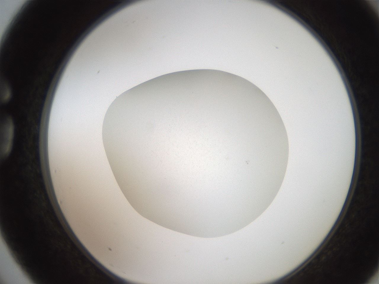 folderID186_plateID2186_batchID9957_wellNum75_profileID1_d1_r148481_ef.jpg