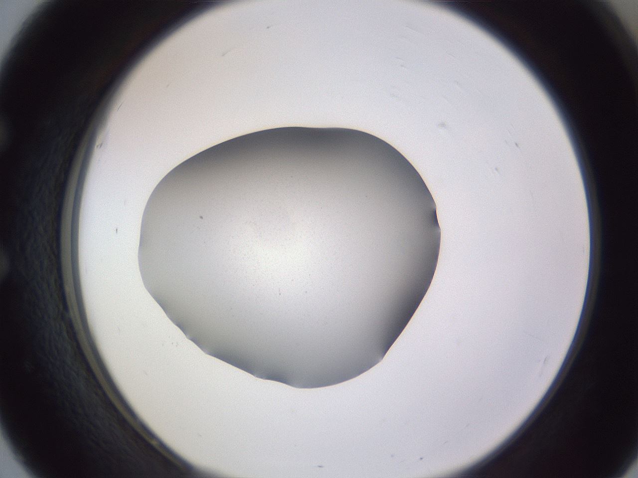 folderID189_plateID2189_batchID9952_wellNum51_profileID1_d1_r147977_ef.jpg